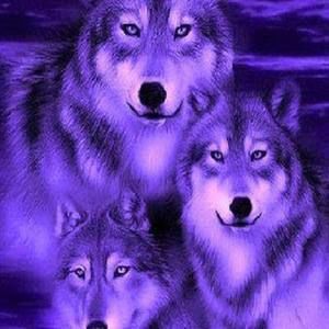 Meet your Posher, Tim